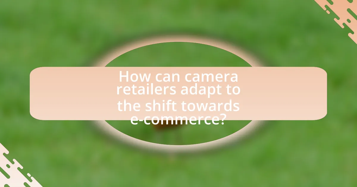 How can camera retailers adapt to the shift towards e-commerce?