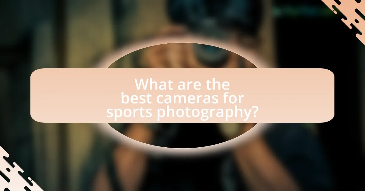 What are the best cameras for sports photography?