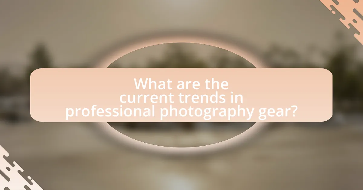 What are the current trends in professional photography gear?