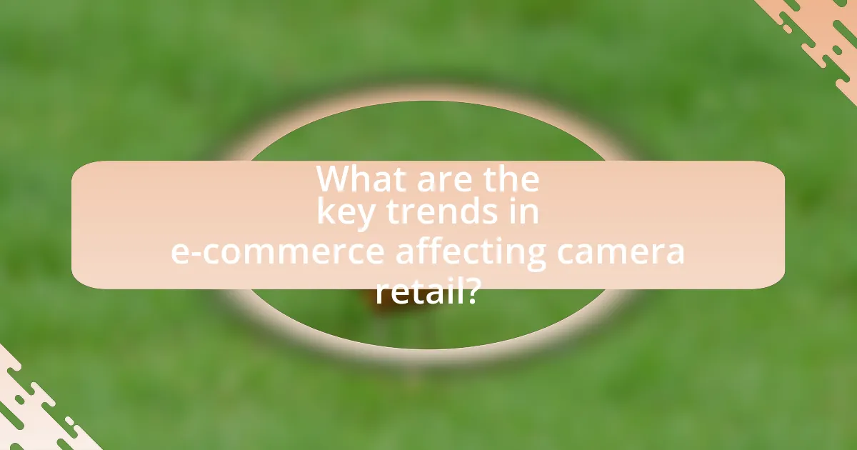 What are the key trends in e-commerce affecting camera retail?