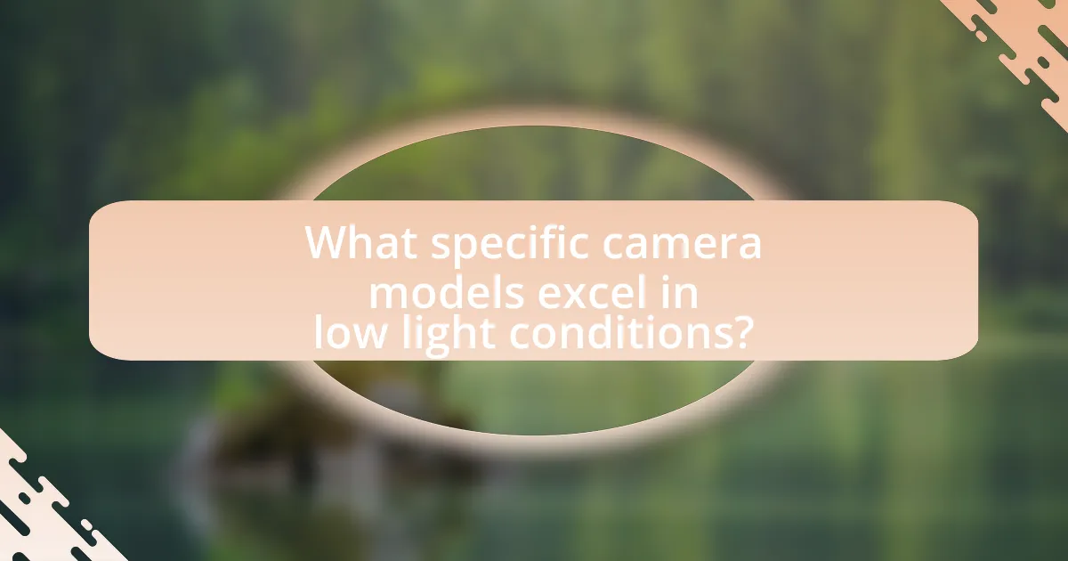 What specific camera models excel in low light conditions?
