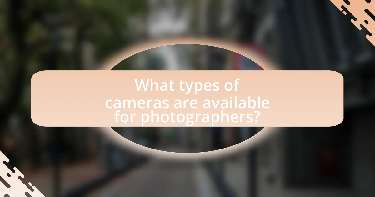 What types of cameras are available for photographers?